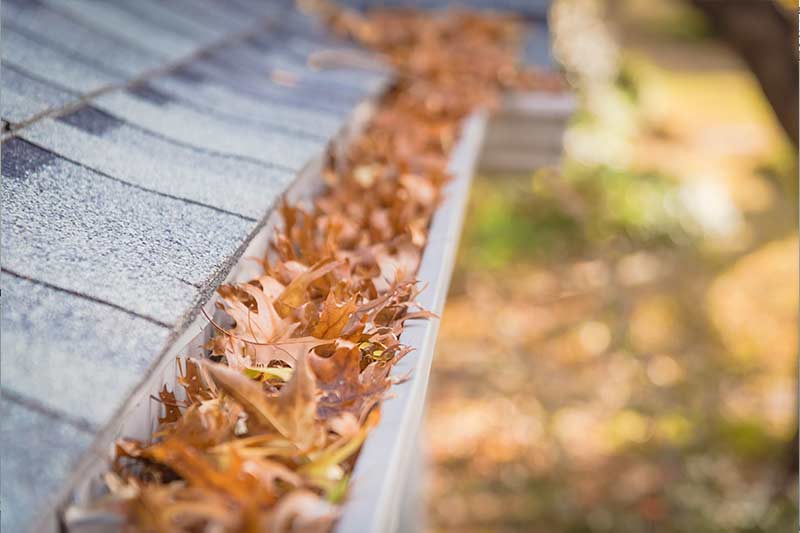 gutter cleaning service