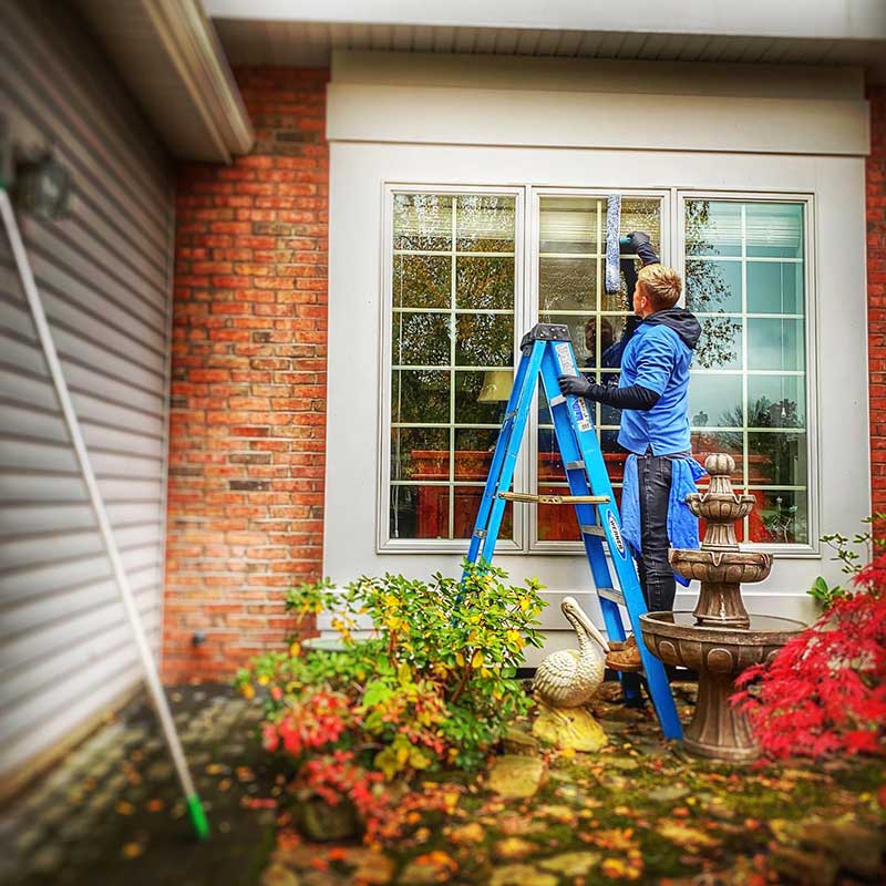 rochester window cleaning services
